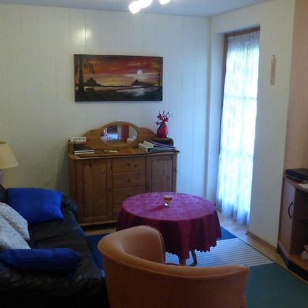 Schwarzwaldhaus Apartment Elzach Bagian luar foto