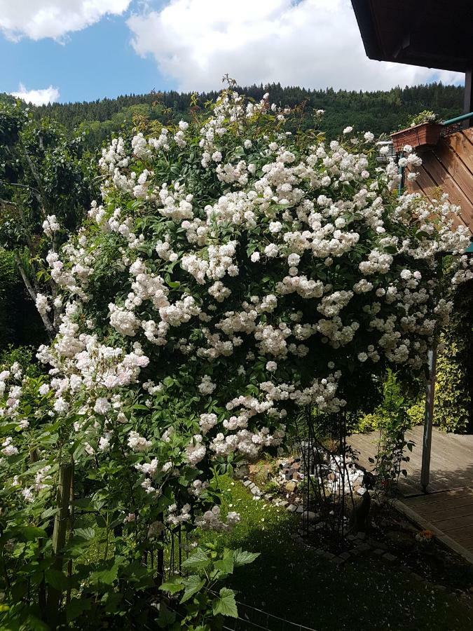 Schwarzwaldhaus Apartment Elzach Bagian luar foto